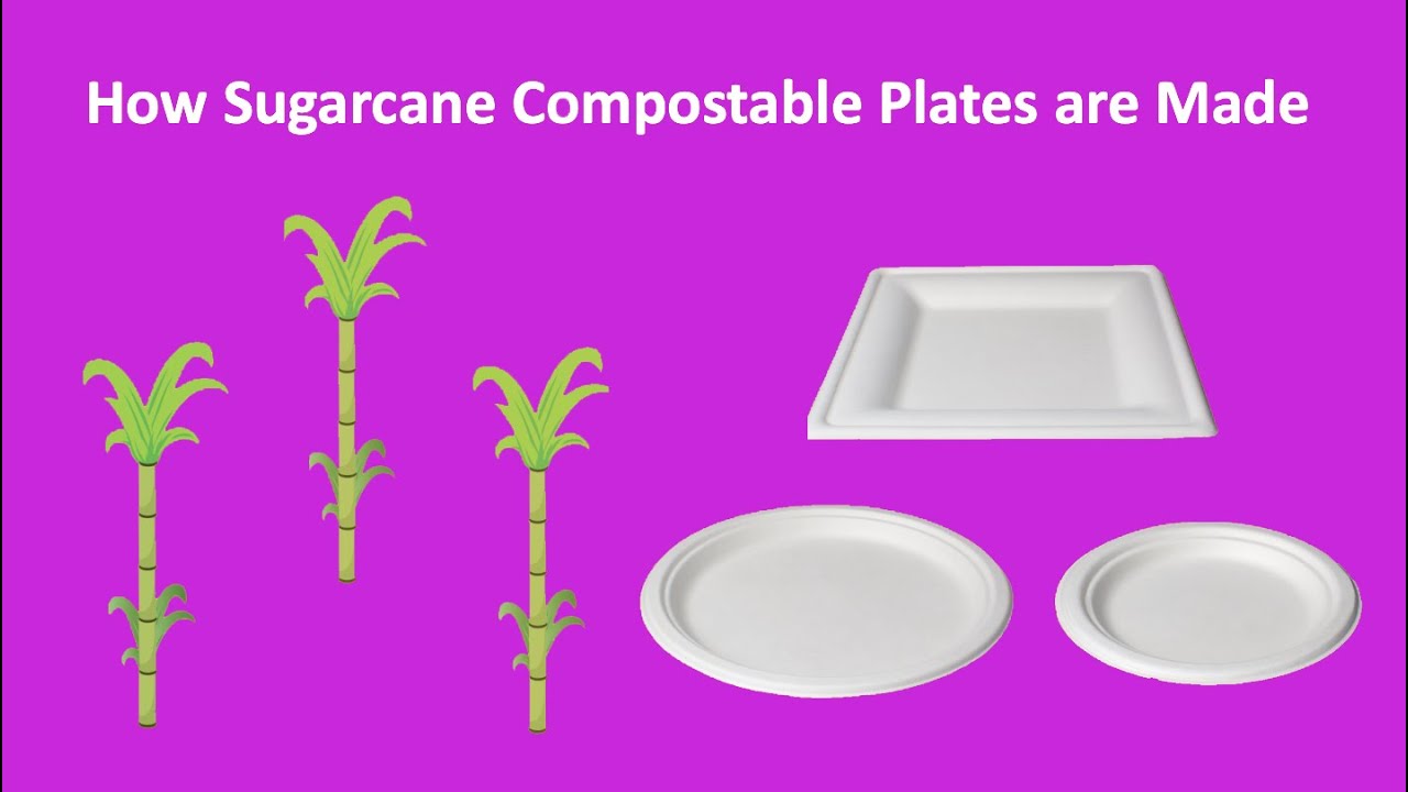 Load video: Learn the process of making eco-friendly plates compostable plates in this informative