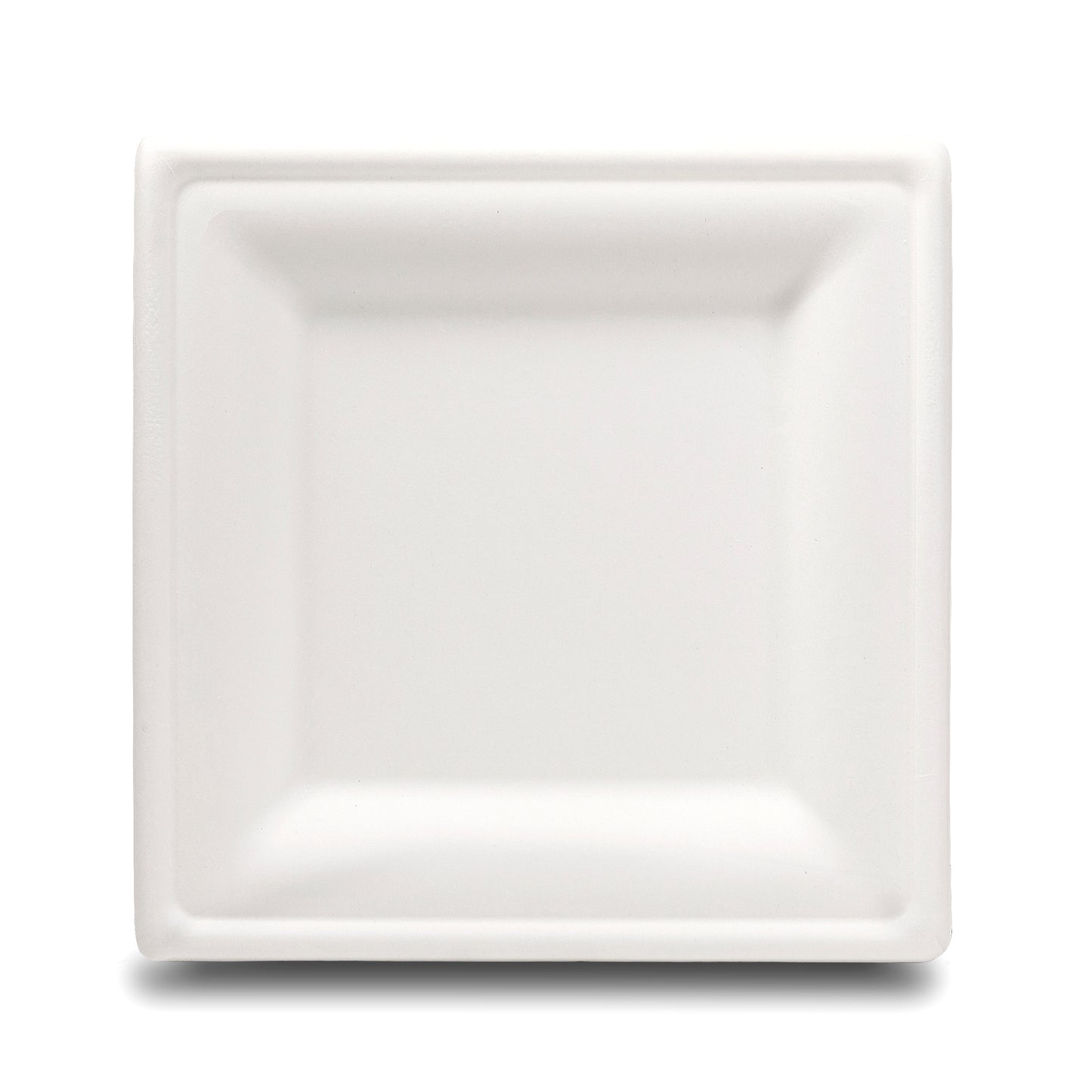 Eco-Friendly Dinner Plates