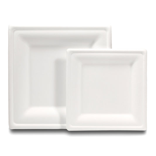 Biodegradable Disposable Plates