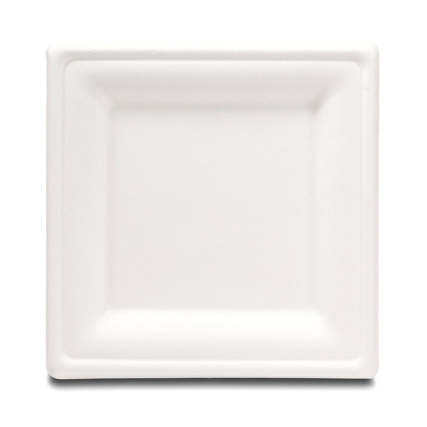 Biodegradable Disposable Party Plates