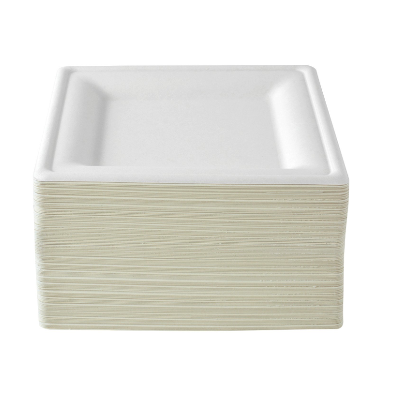 100 pc. White Square Compostable Salad, or Luncheon Plates: Sturdy, Eco-Friendly and Disposable