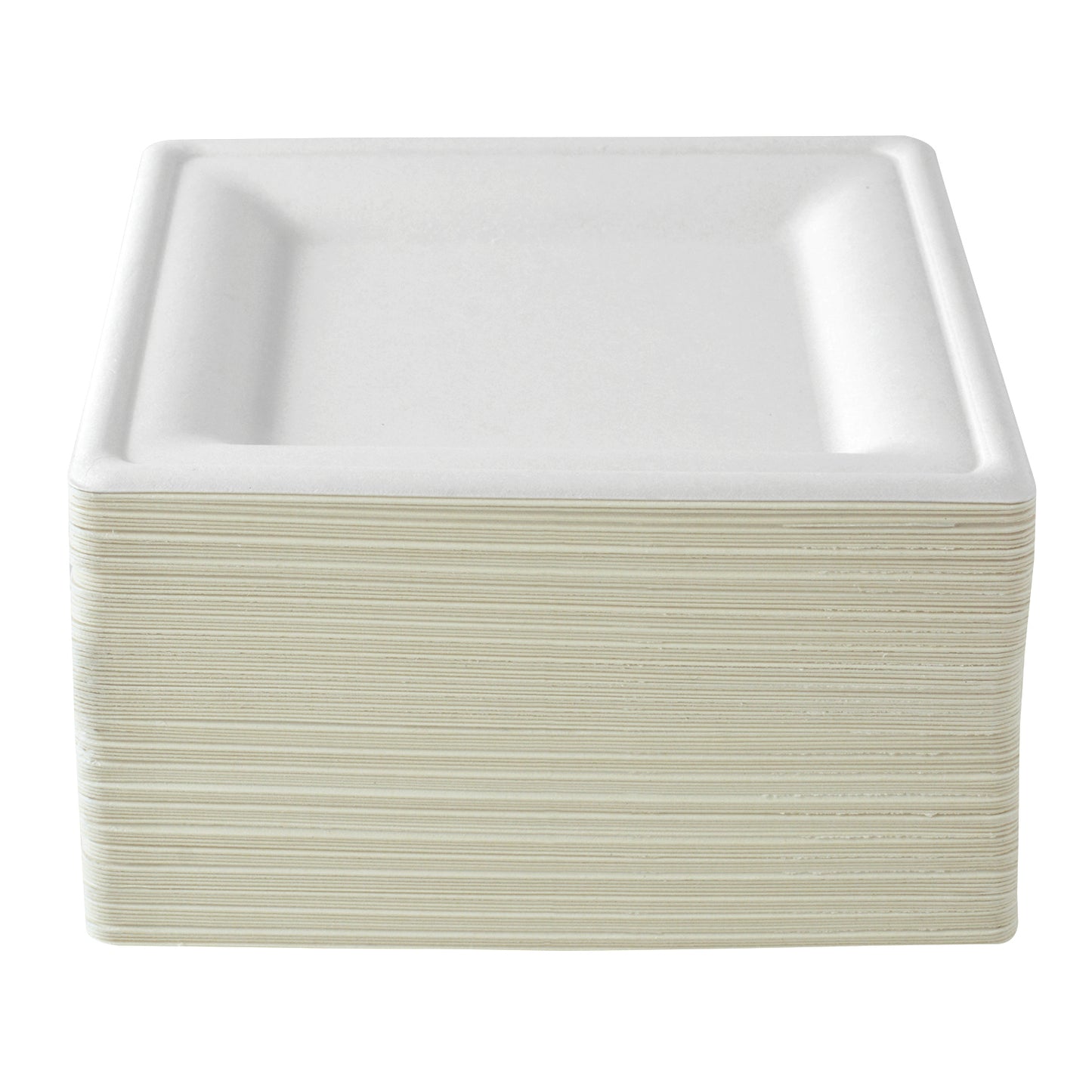 Biodegradable Dinner Plates