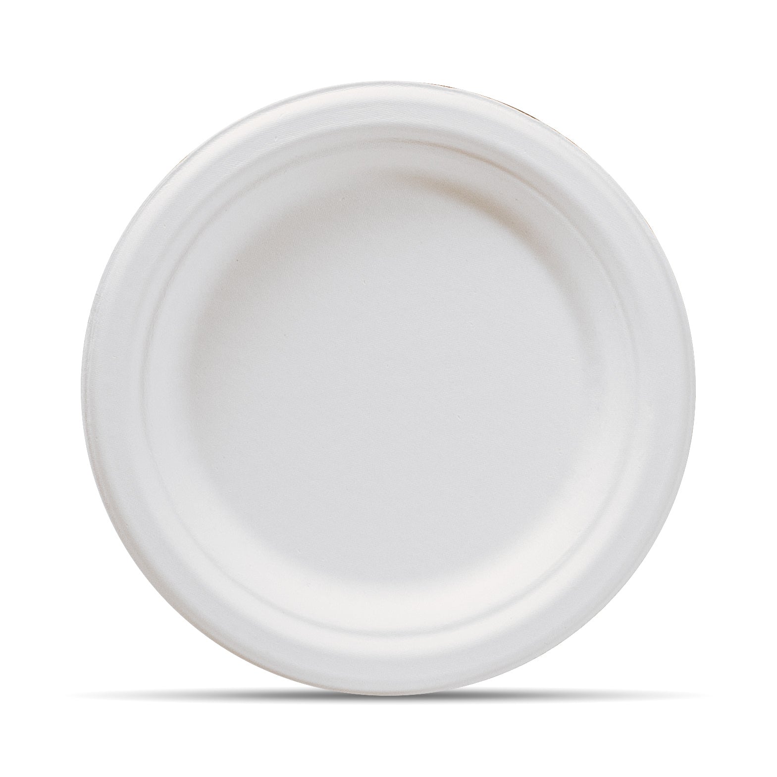 100% Compostable Plates, 10 inch Biodegradable Disposable Paper