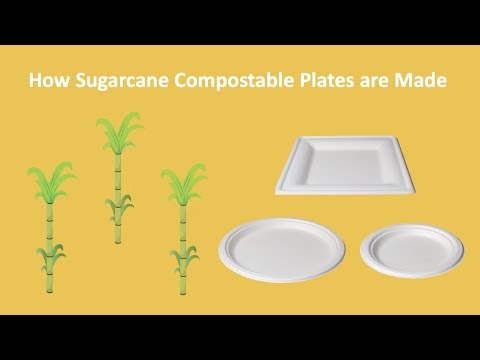 Is Sugarcane Compostable Dinnerware Good for the Environment? Watch How It’s Made… | Select Settings