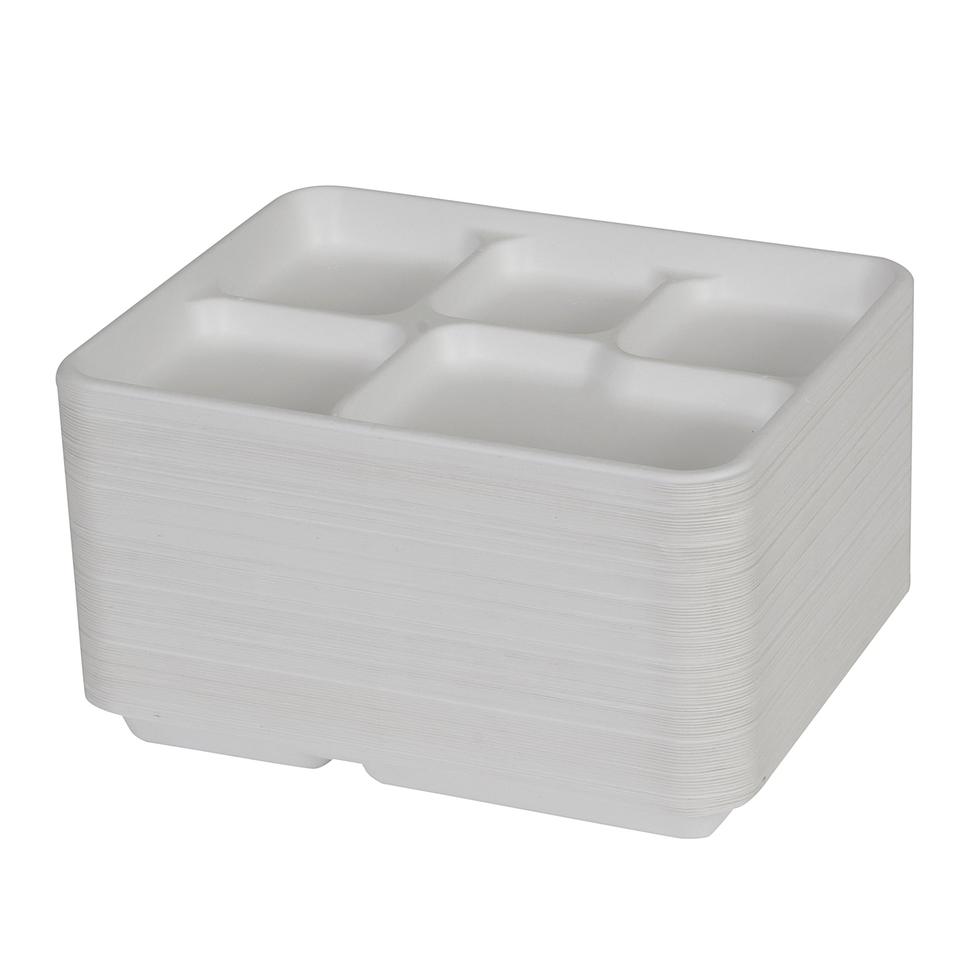 Select Settings Premium Single-Use Dinnerware [100-Pack] 5-Compartment Rectangle White Bagasse 10 inch Plates