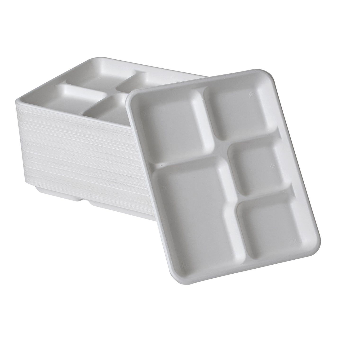 [100-Pack] compostable plates 5-Compartment rectangle white biodegradable Bagasse  10 inch plates