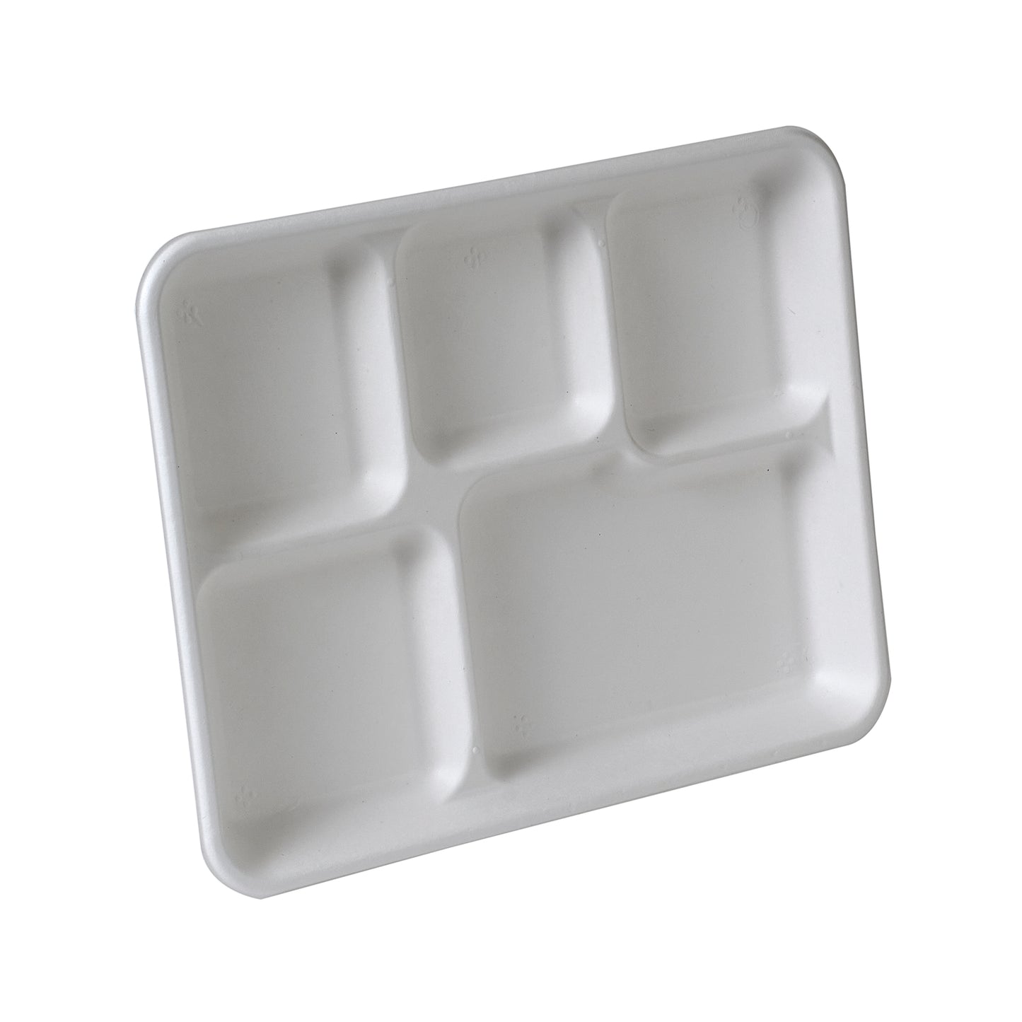 [100-Pack] compostable plates 5-Compartment rectangle white biodegradable Bagasse  10 inch plates